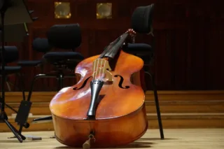 Cleaning Your Upright Bass standing bass, upright bass,