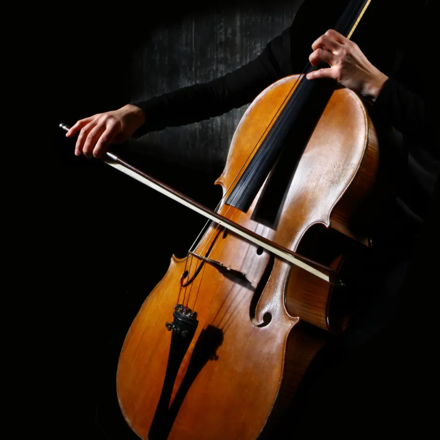 image 3 Cello with new strings playing